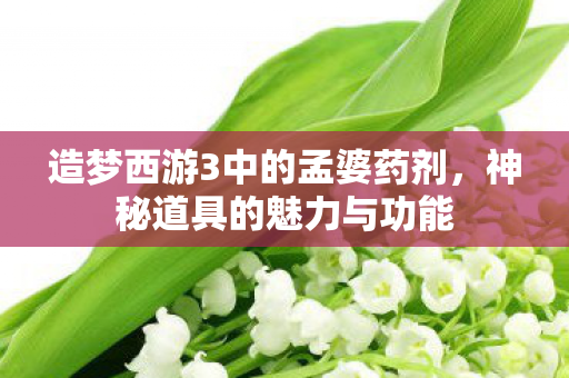造梦西游3中的孟婆药剂图片