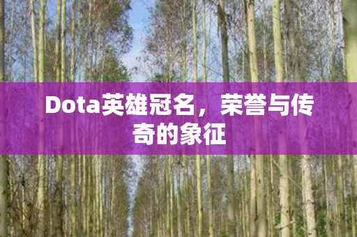 Dota英雄冠名图片