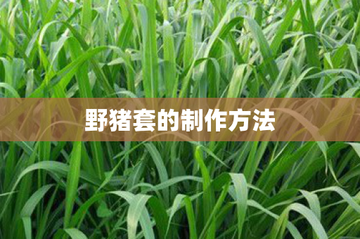 野猪套的制作方法图片