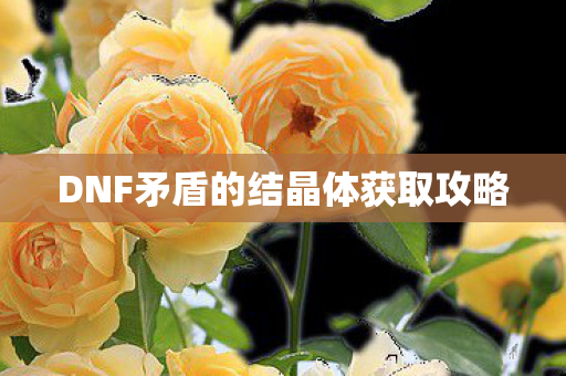 DNF矛盾的结晶体获取攻略图片