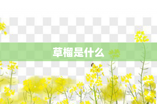 草榴是什么图片