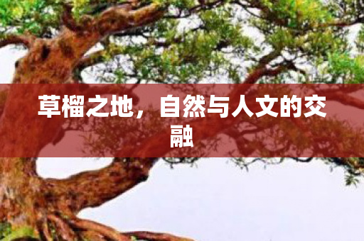 自然与人文的交融图片