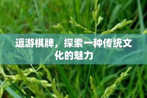 探索一种传统文化的魅力图片
