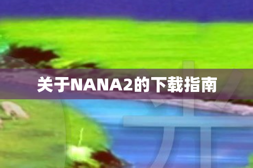 关于NANA2的下载指南图片