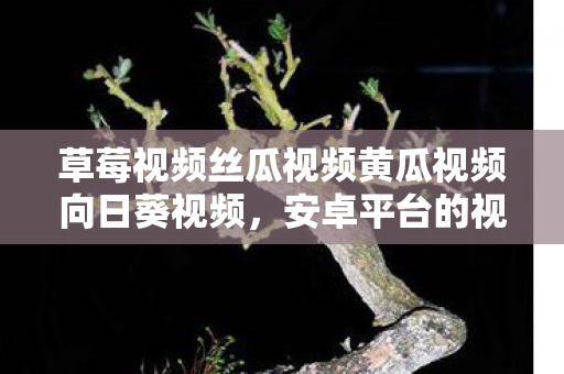 草莓视频丝瓜视频黄瓜视频向日葵视频图片