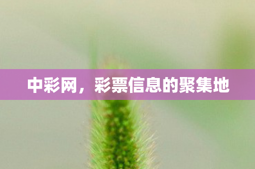 彩票信息的聚集地图片