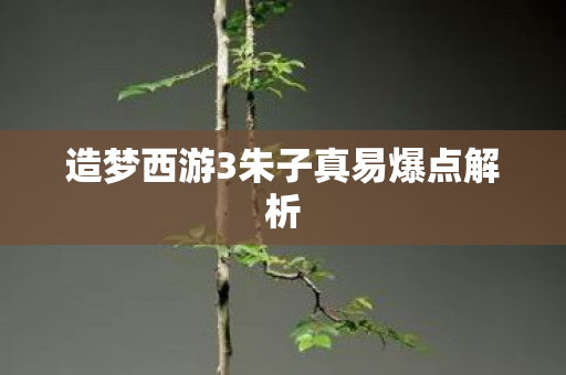 造梦西游3朱子真易爆点解析图片