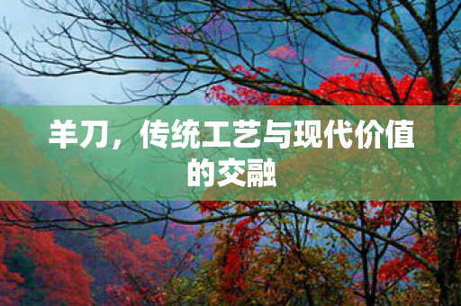 传统工艺与现代价值的交融图片