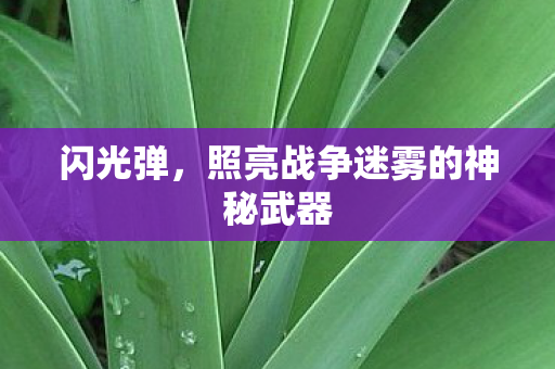 照亮战争迷雾的神秘武器图片