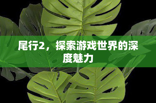 探索游戏世界的深度魅力图片