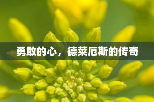 德莱厄斯的传奇图片