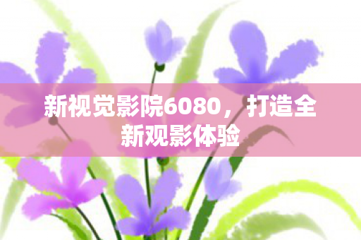 新视觉影院6080图片