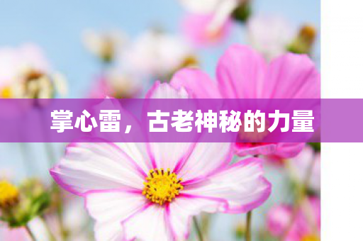 古老神秘的力量图片