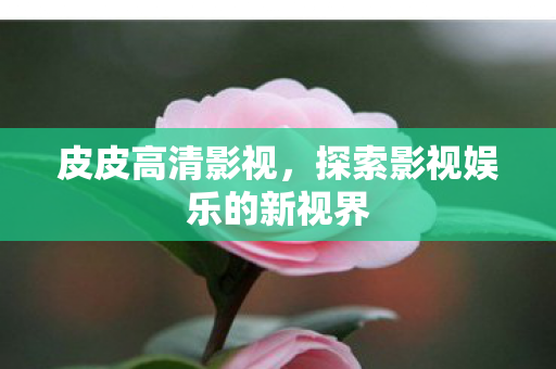 探索影视娱乐的新视界图片