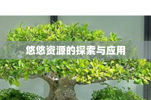 悠悠资源的探索与应用图片