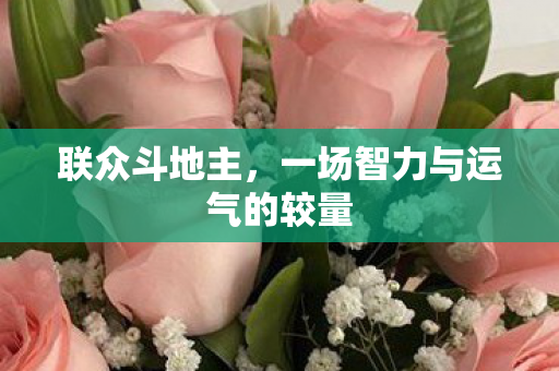 一场智力与运气的较量图片