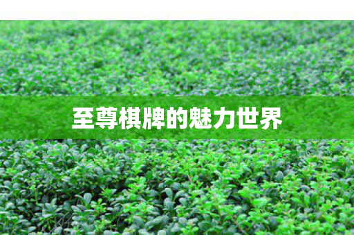 至尊棋牌的魅力世界图片