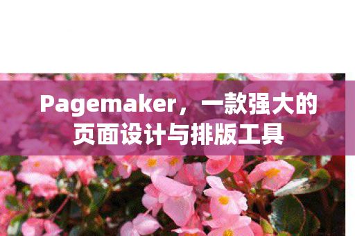 一款强大的页面设计与排版工具图片