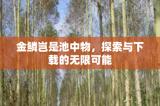 探索与下载的无限可能图片