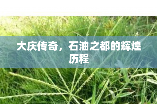 石油之都的辉煌历程图片