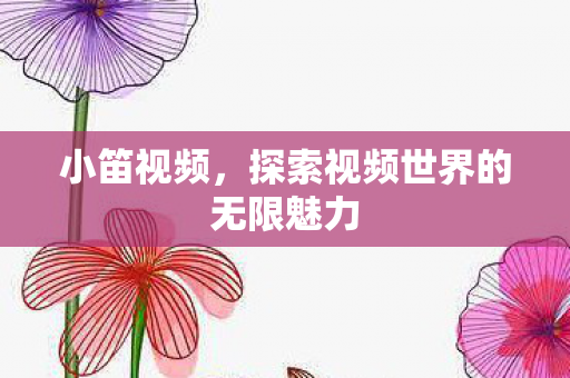 探索视频世界的无限魅力图片