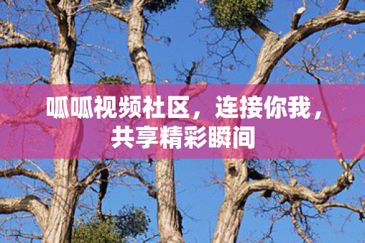 呱呱视频社区图片