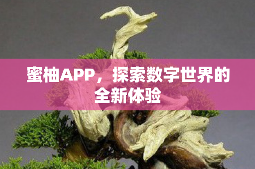 探索数字世界的全新体验图片