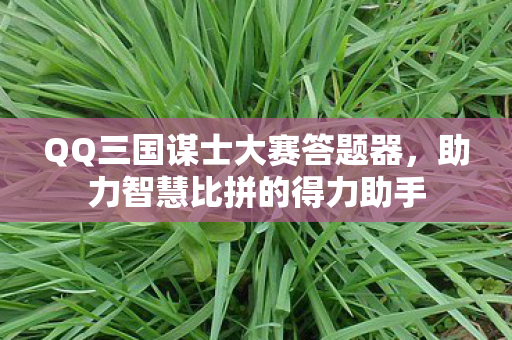 QQ三国谋士大赛答题器图片