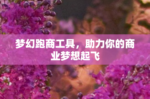 助力你的商业梦想起飞图片