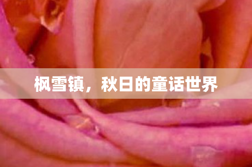秋日的童话世界图片