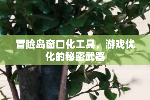 游戏优化的秘密武器图片