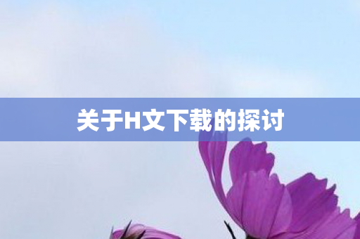 关于H文下载的探讨图片