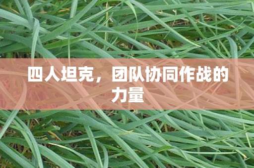 团队协同作战的力量图片