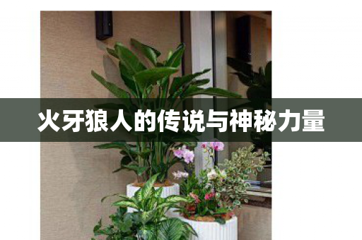 火牙狼人的传说与神秘力量图片