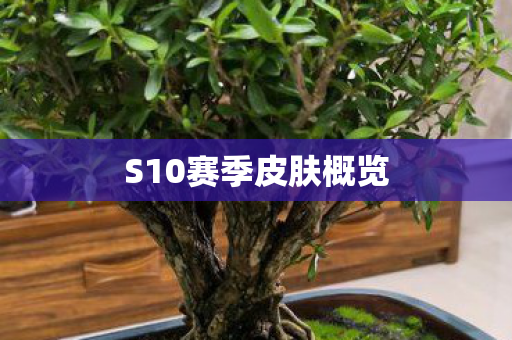 S10赛季皮肤概览图片