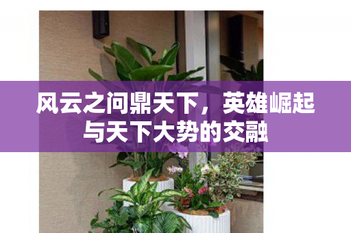 英雄崛起与天下大势的交融图片