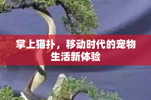 移动时代的宠物生活新体验图片