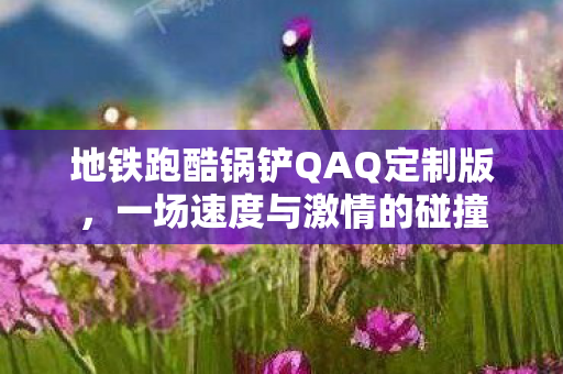 地铁跑酷锅铲QAQ定制版图片