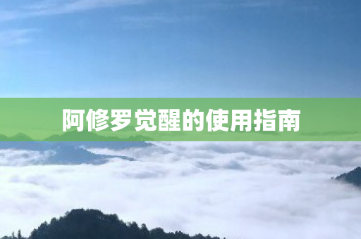 阿修罗觉醒的使用指南图片