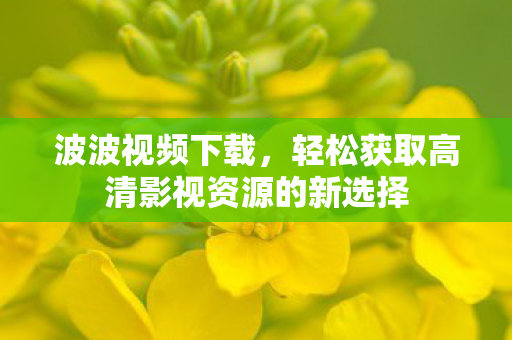 轻松获取高清影视资源的新选择图片