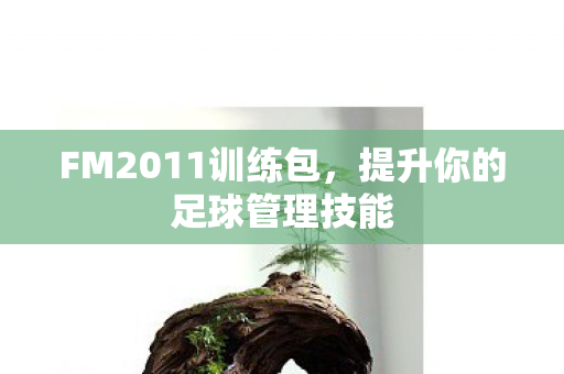 提升你的足球管理技能图片