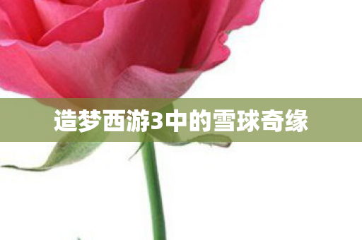 造梦西游3中的雪球奇缘图片