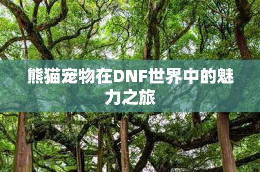 熊猫宠物在DNF世界中的魅力之旅图片