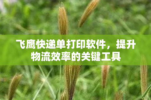 提升物流效率的关键工具图片