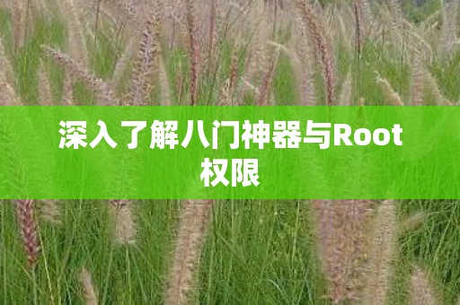 深入了解八门神器与Root权限图片