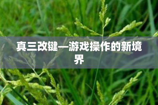 游戏操作的新境界图片