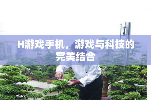 游戏与科技的完美结合图片