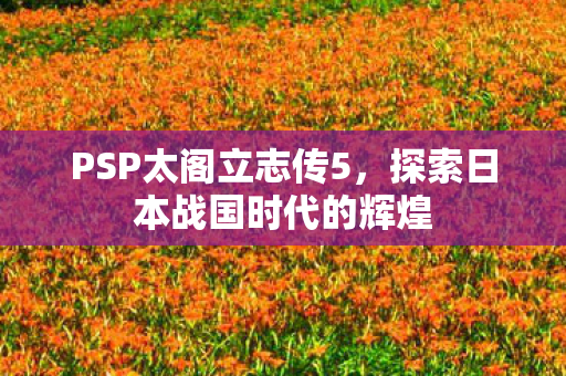 探索日本战国时代的辉煌图片