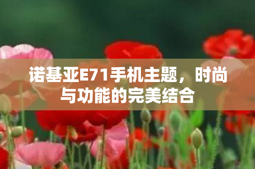 诺基亚E71手机主题图片