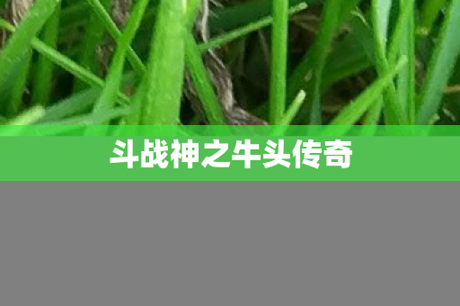 斗战神之牛头传奇图片